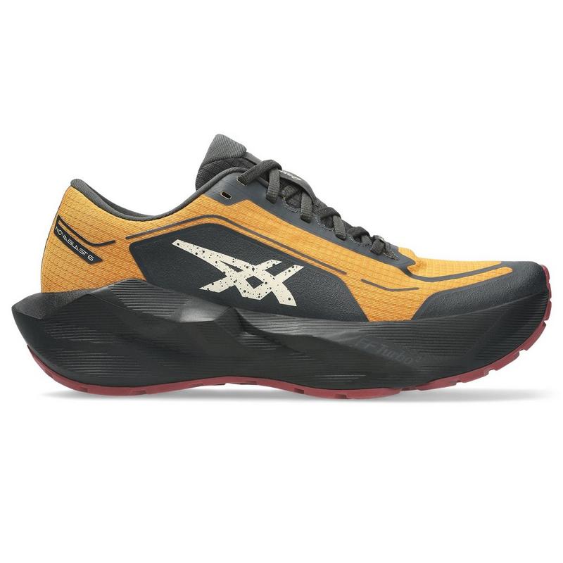 ASICS Men's NOVABLAST 6 GTX Running Shoe