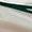 Soft Oat Jewel Green | Women's GEL-Resolution® X Padel Shoe