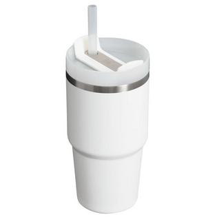 Stanley Quencher H2.0 FlowState Tumbler (20 oz - Frost)