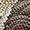 Bitter Chocolate Toasted Almond | Espadrilles Speedcat Snake unisexes