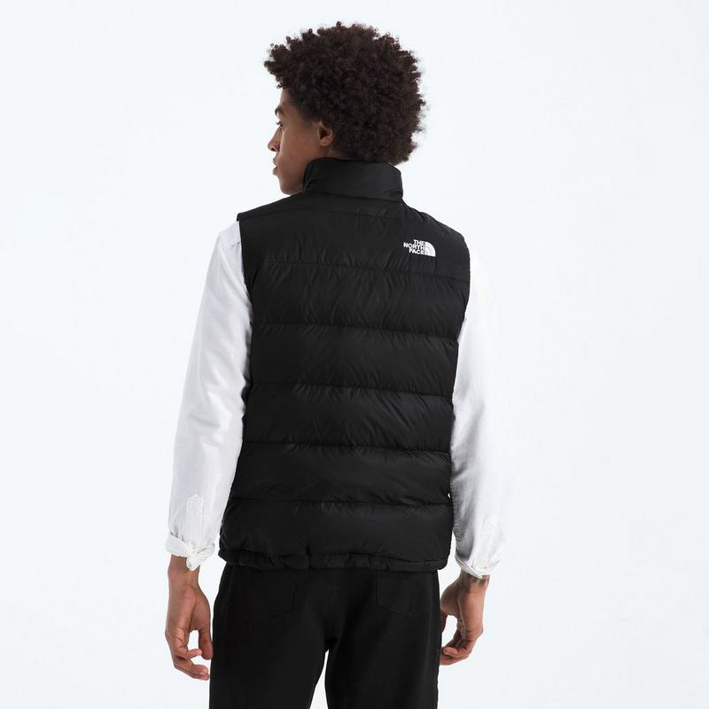 The North Face Men's Hydrenalite Down Vest