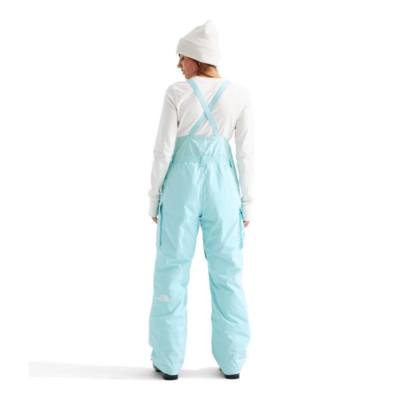 The North Face Women's Freedom Insulated Bib Pant