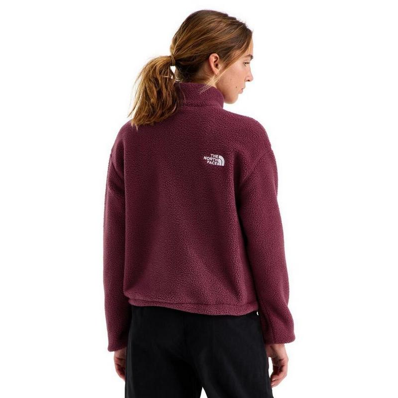 The North Face Women's TNF Fleeski 1/4-Zip Pullover Fleece Top