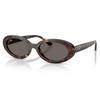 RB2223 Sunglasses