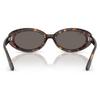 RB2223 Sunglasses