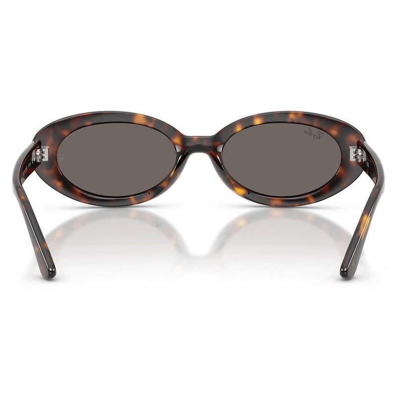 Ray-Ban Lunettes de soleil RB2223