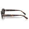RB2223 Sunglasses