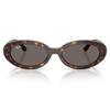 RB2223 Sunglasses