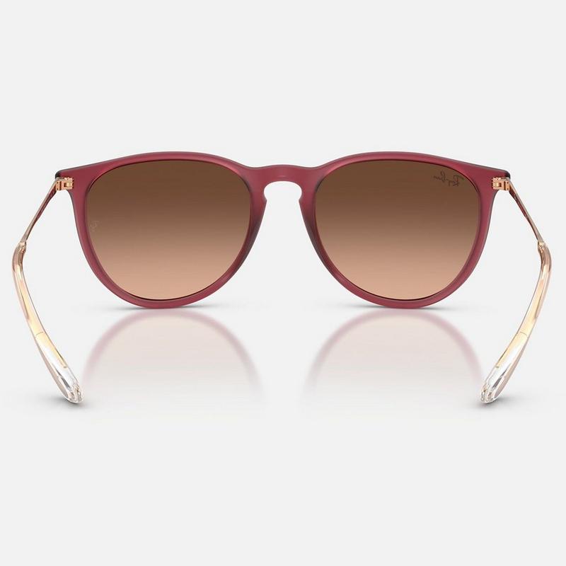 Ray-Ban Lunettes de soleil Erika