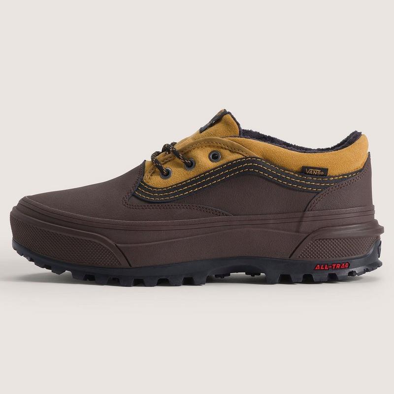 Vans Men's Standard Low Shoe