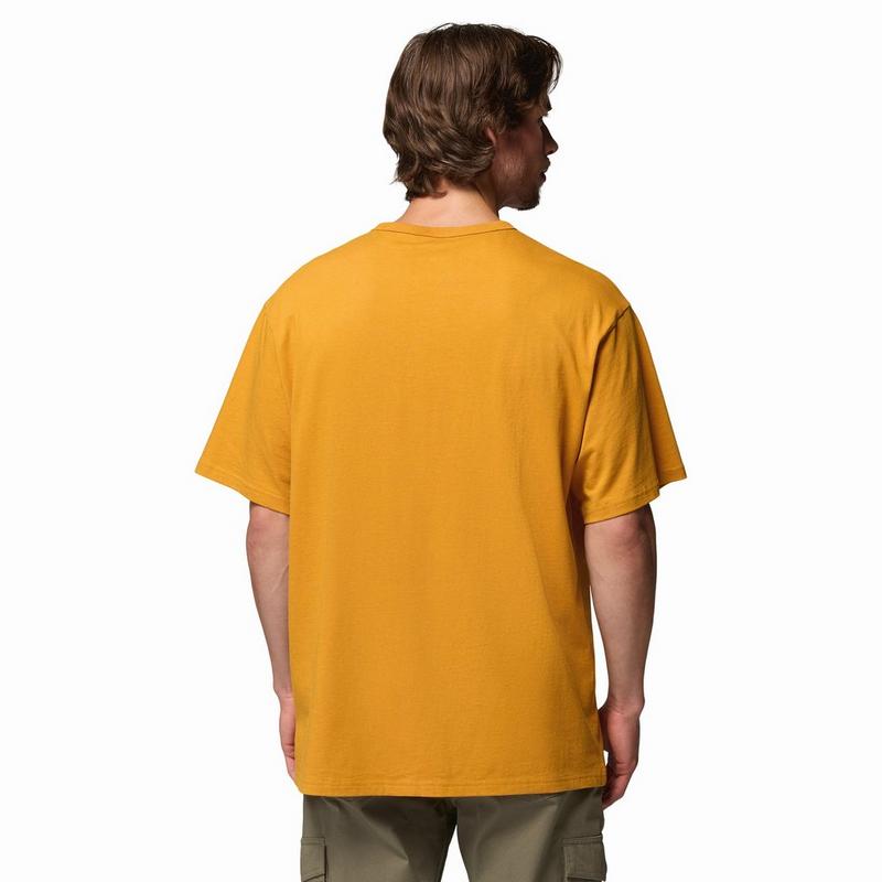 Columbia T-shirt CSC Heavyweight pour hommes