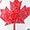 Speedo Red | Silicone World Tour Canada Swim Cap