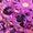 Daisy Pink | Kids' Therma-Comfort Balaclava