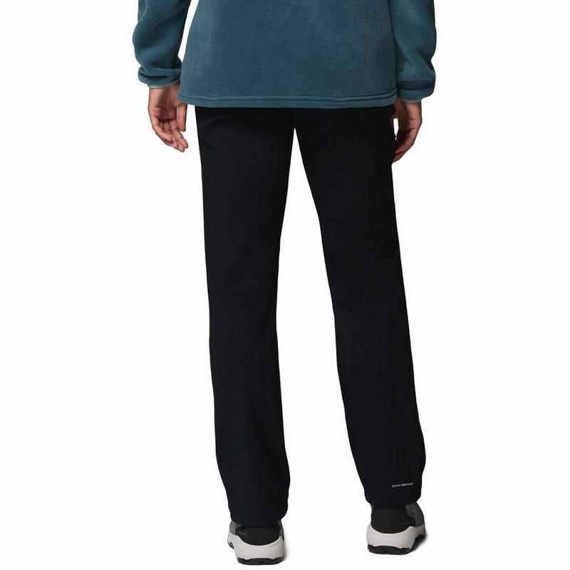 Columbia Pantalon &agrave; coquille souple Back Beauty Warm pour femmes