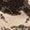 Coffee Bean Tie Dye Silver Lining | Men's Wadud Sherpa Fleece Jacket