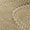 Sand Dune Alpine Snow | Women's Speedcat Wedge Tonal Sneaker