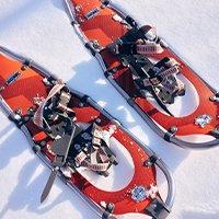 Snowshoeing