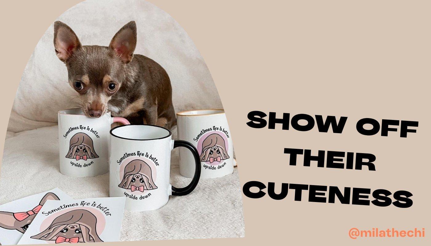 chihuahua with mugs and stickers