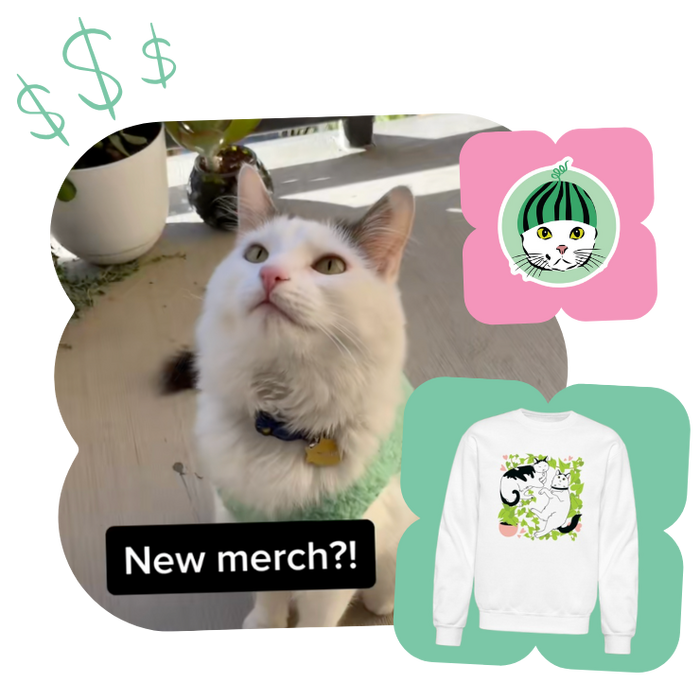 screenshot of promotional video from seller melon and finn with mockup of different designs on products