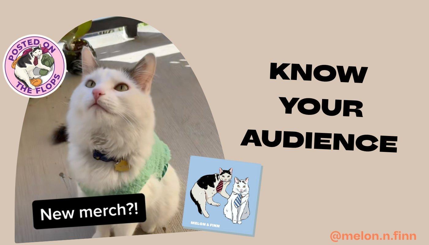 cats melon and finn and their merch