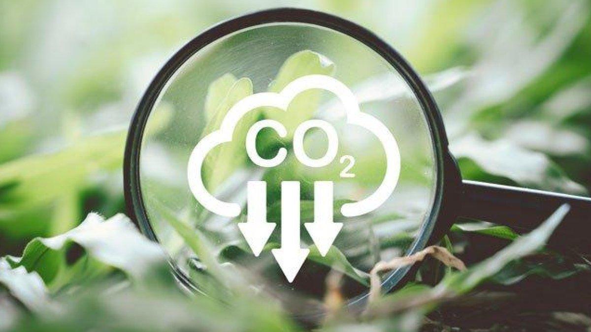Der Carbon Tracker von EM