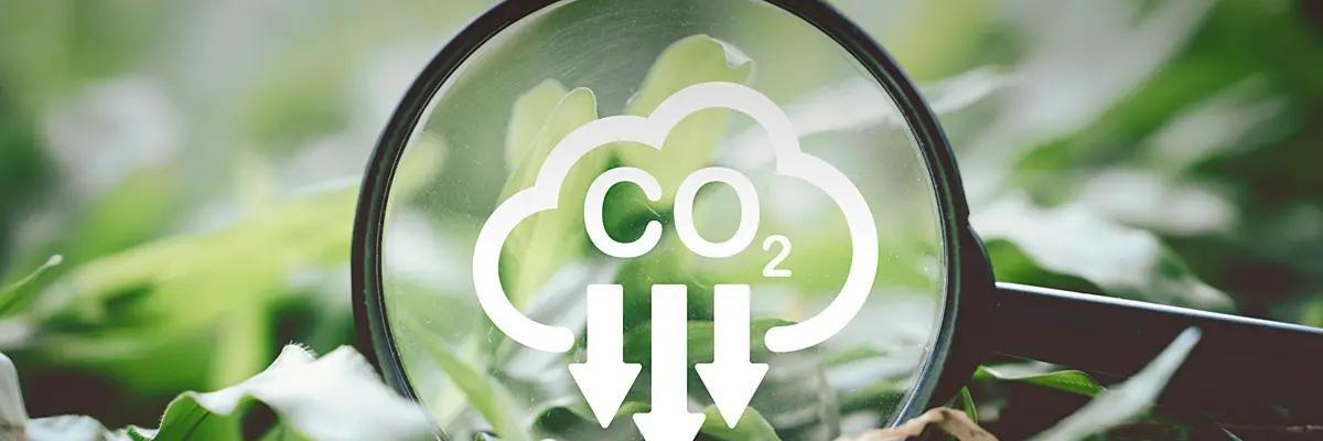 Der Carbon Tracker von EM