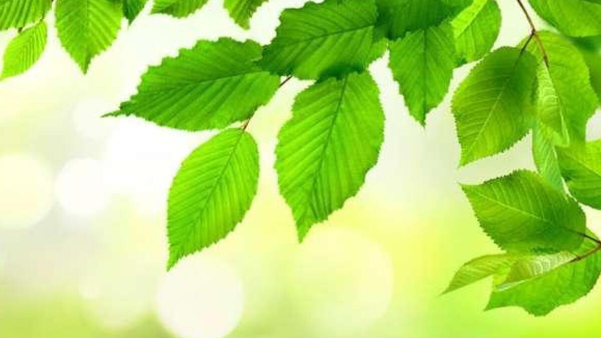 EM ecowin Save energy - save money
