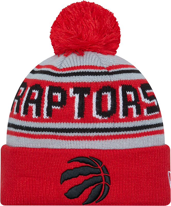 Raptors beanie best sale