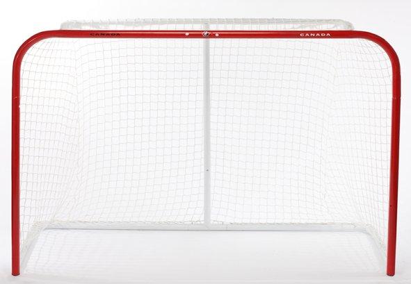 72" Hockey Net