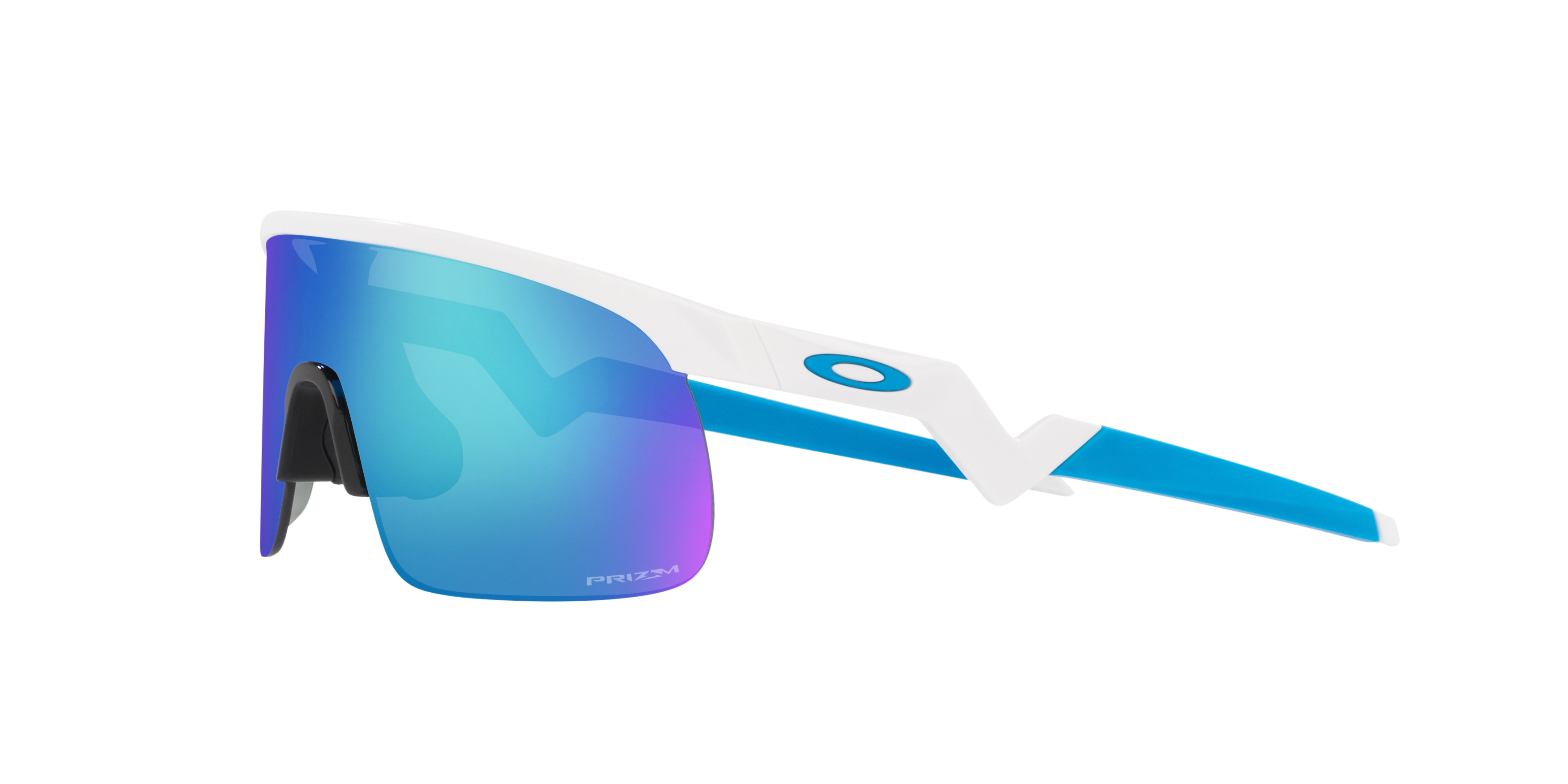 Youth Resistor Sunglasses