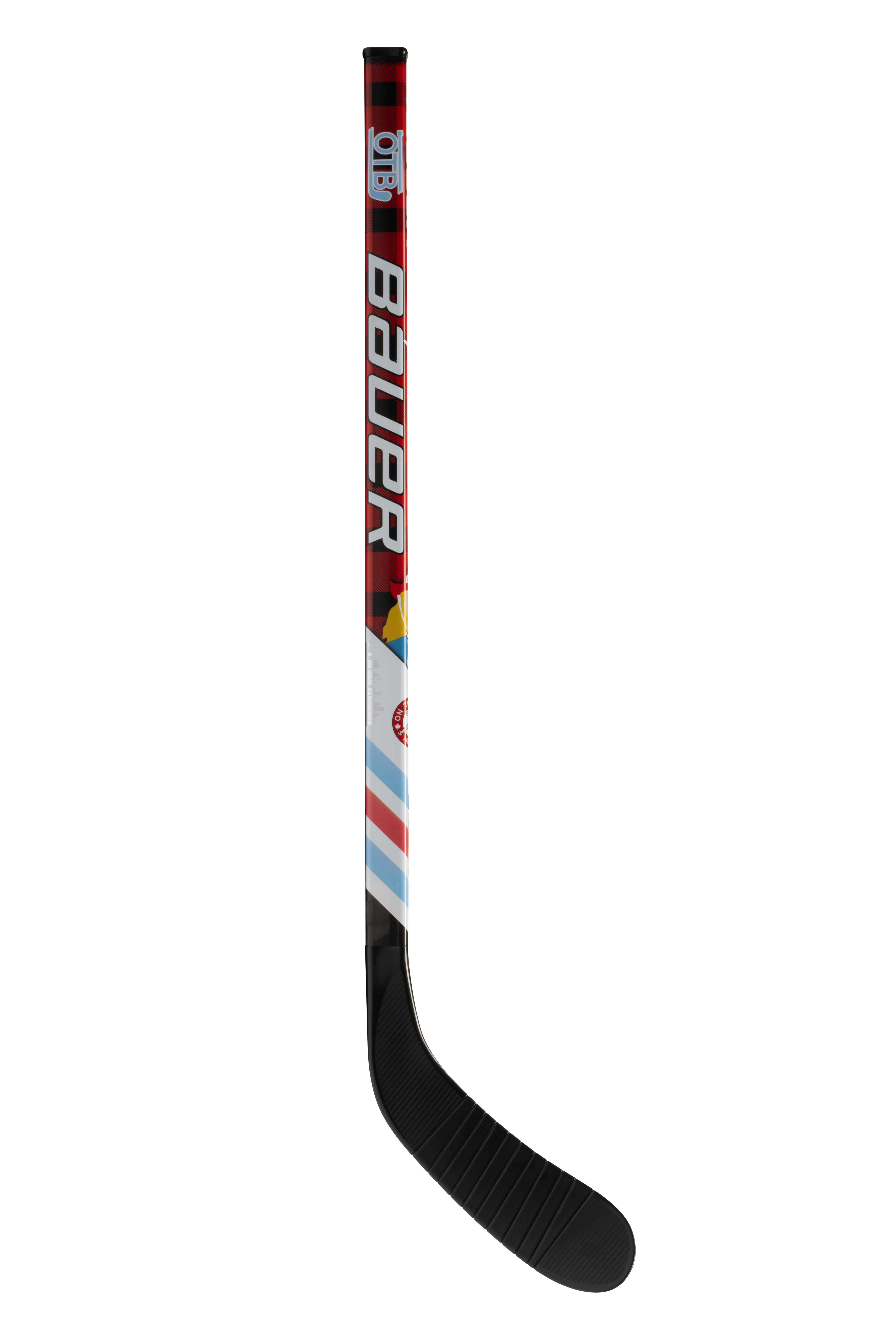 Mystery Mini Hockey Stick