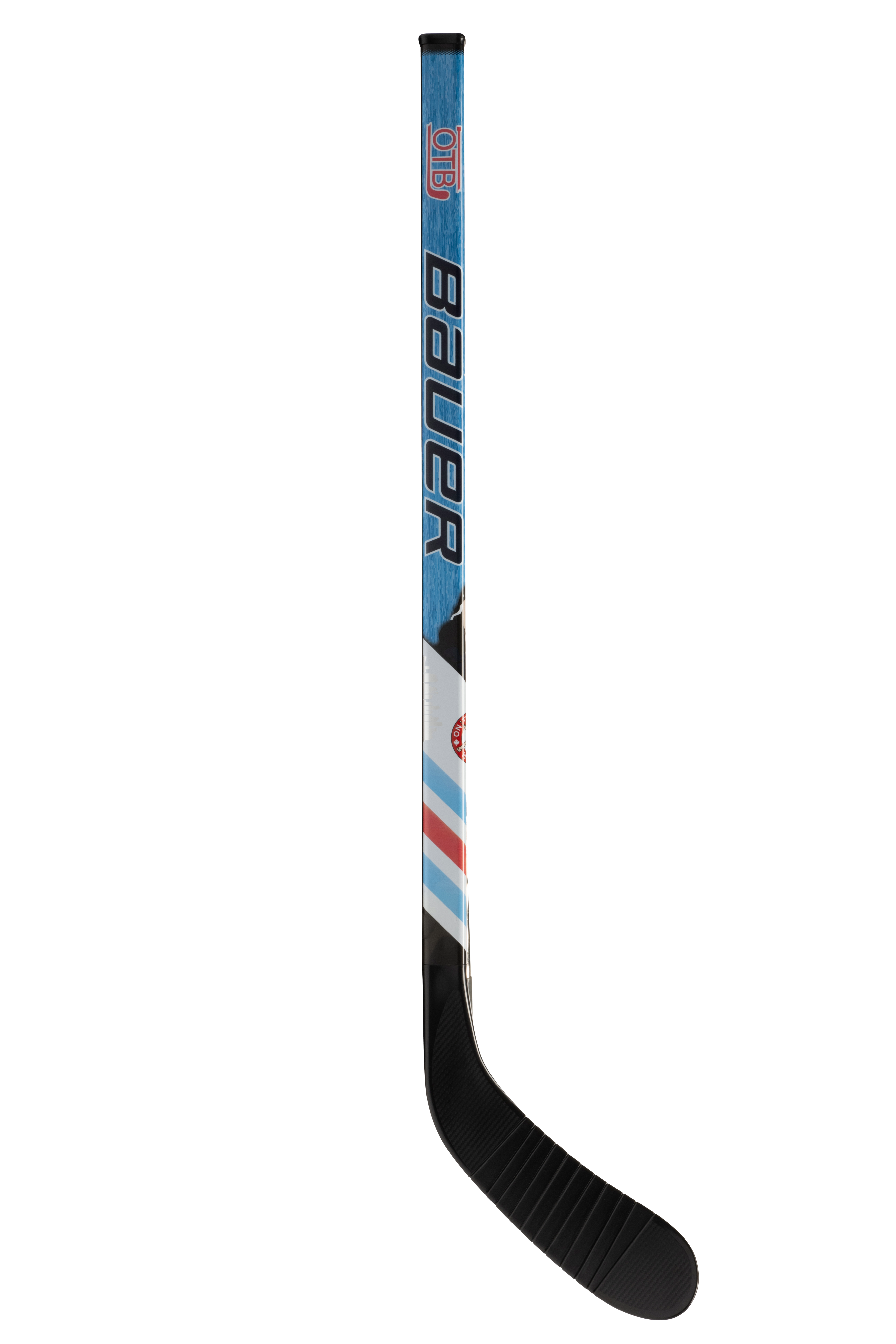 Mystery Mini Hockey Stick