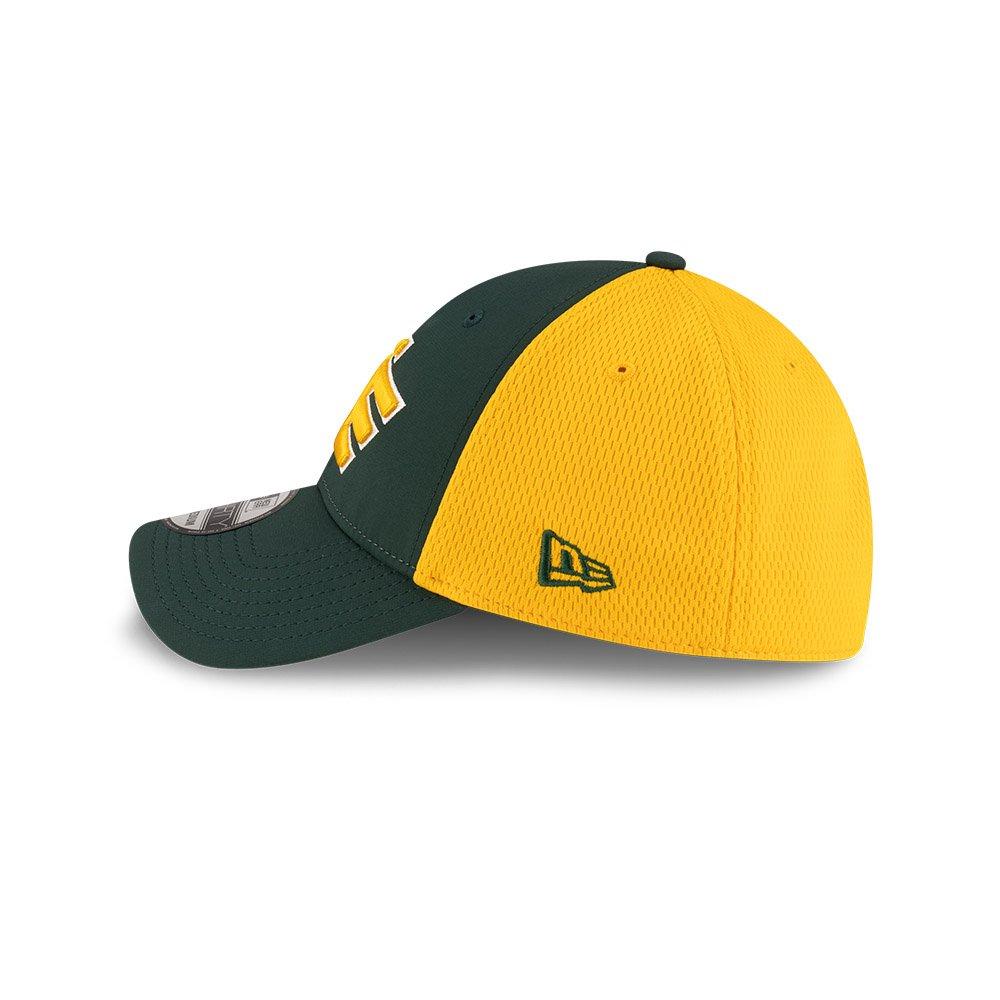 Edmonton Elks 2025 39THIRTY Stretch Fit Hat
