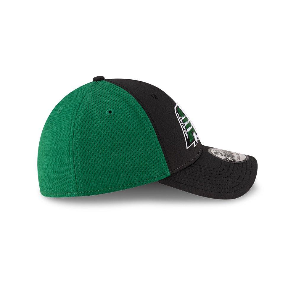 Saskatchewan Roughriders 2025 39THIRTY Stretch Fit Hat