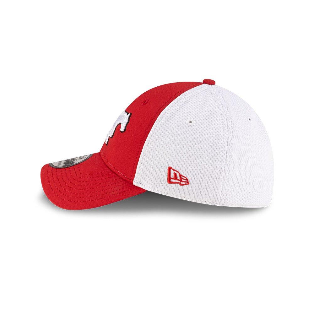 Calgary Stampeders 2025 39THIRTY Stretch Fit Hat