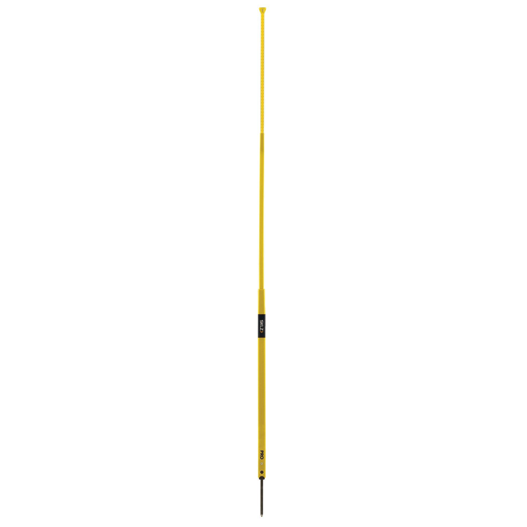 Pro Training Agility Pole (8 Pack)