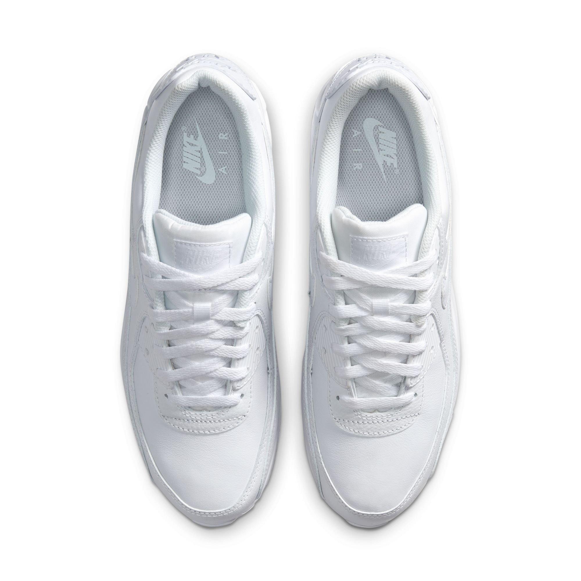 Men's Air Max 90 LTR Shoes