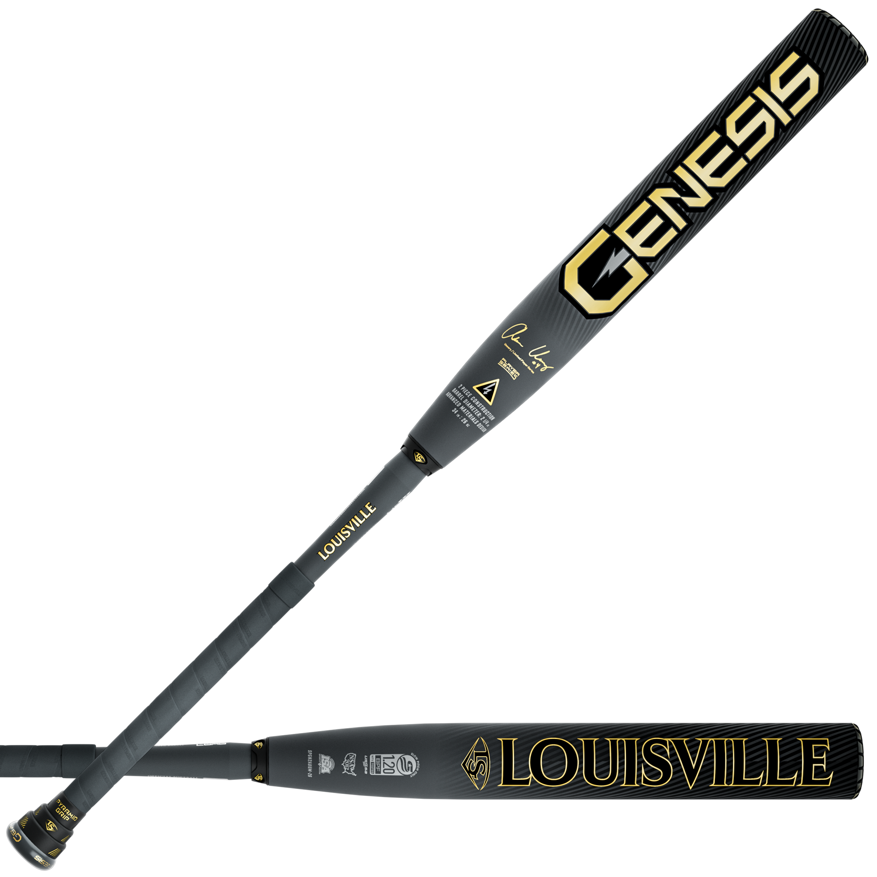 Black/Gold
