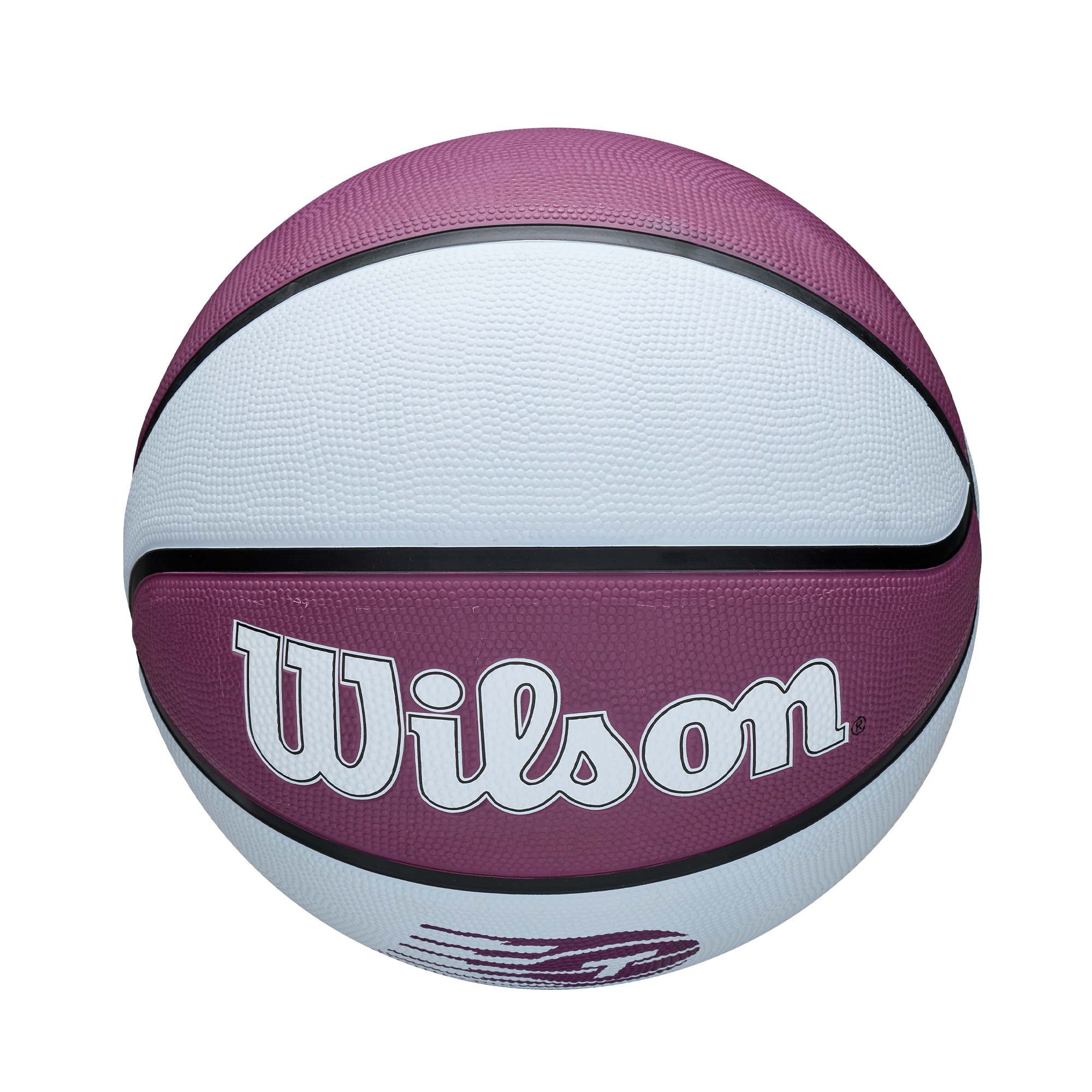 WNBA Toronto Tempo Basketball