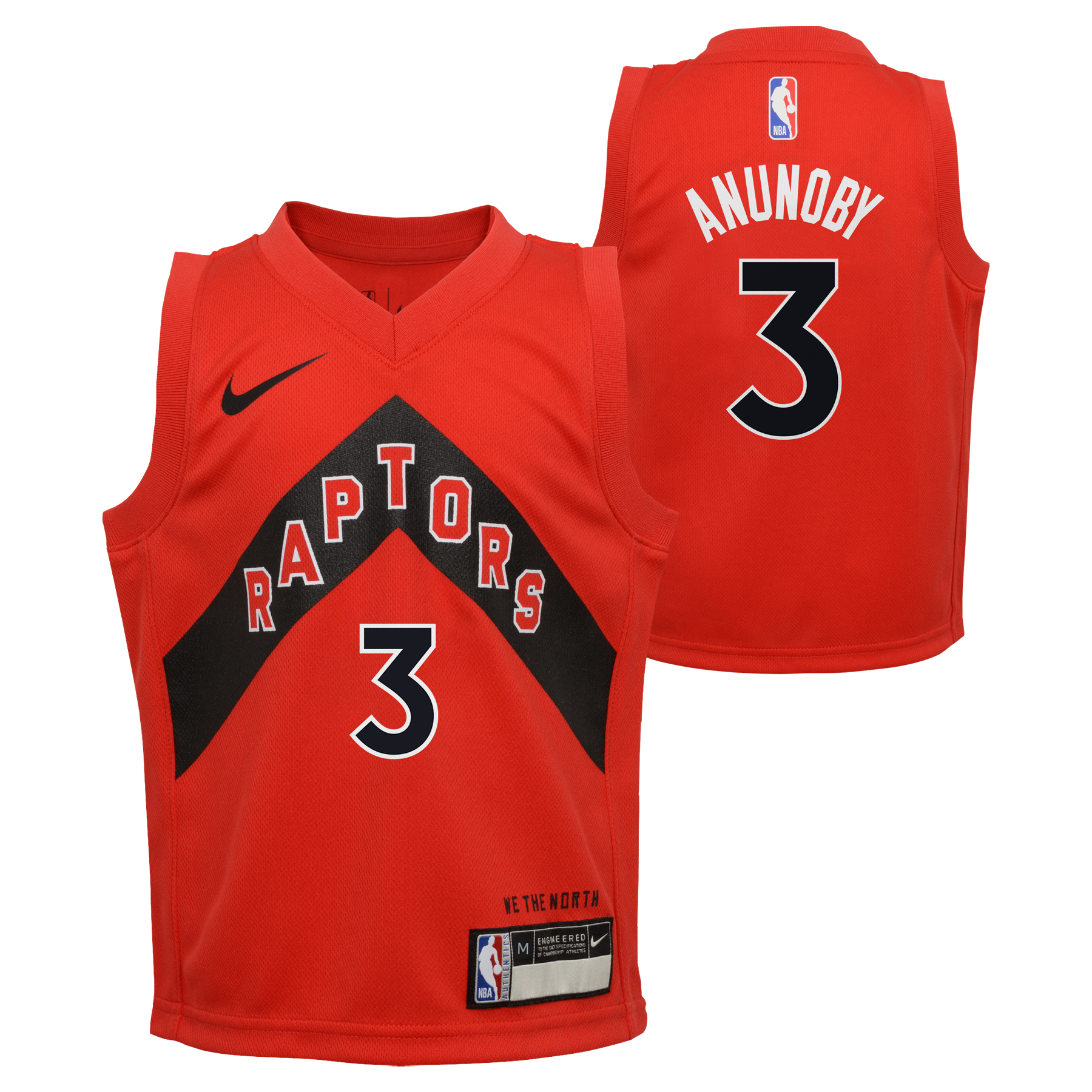 Toronto raptors hot sale icon jersey