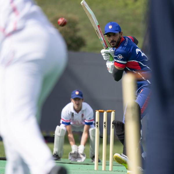 Cricket