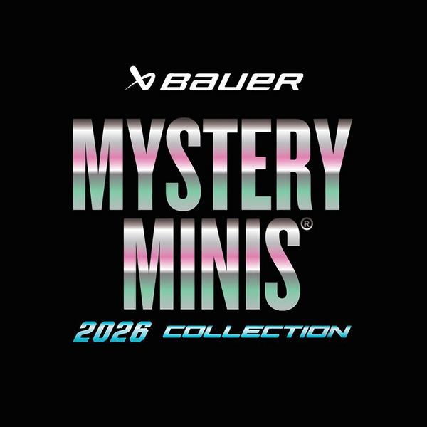 Mystery Mini Hockey Sticks 
