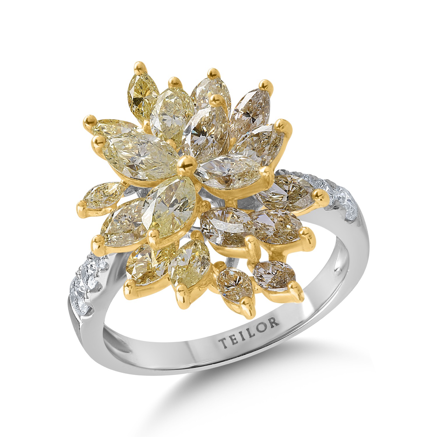 Inel din aur alb-galben cu diamante de 4.89ct