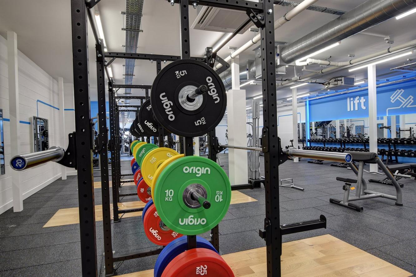 Free Weight Area