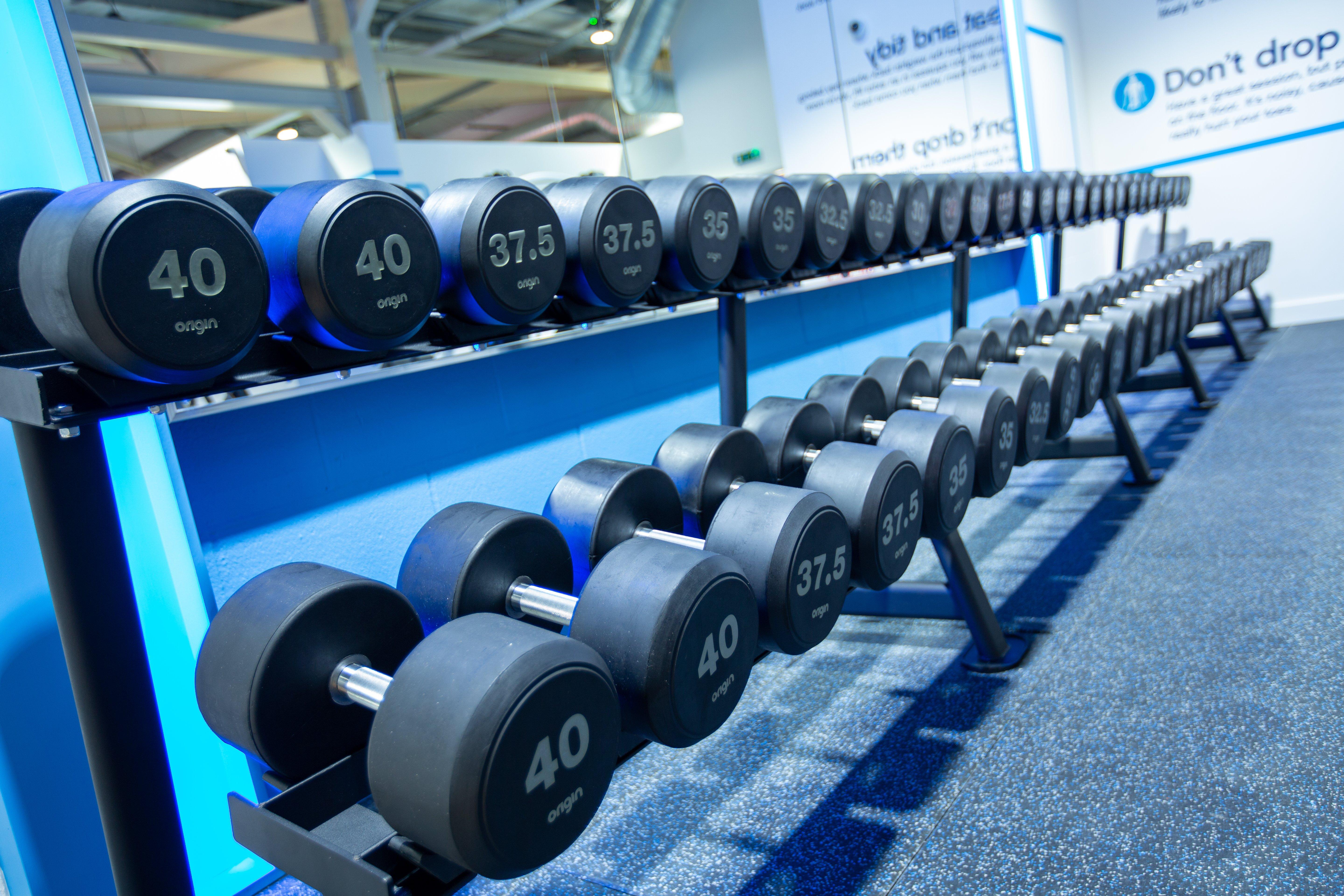 Free Weight Exercises Exercise Tips Total Body Exercises The Gym