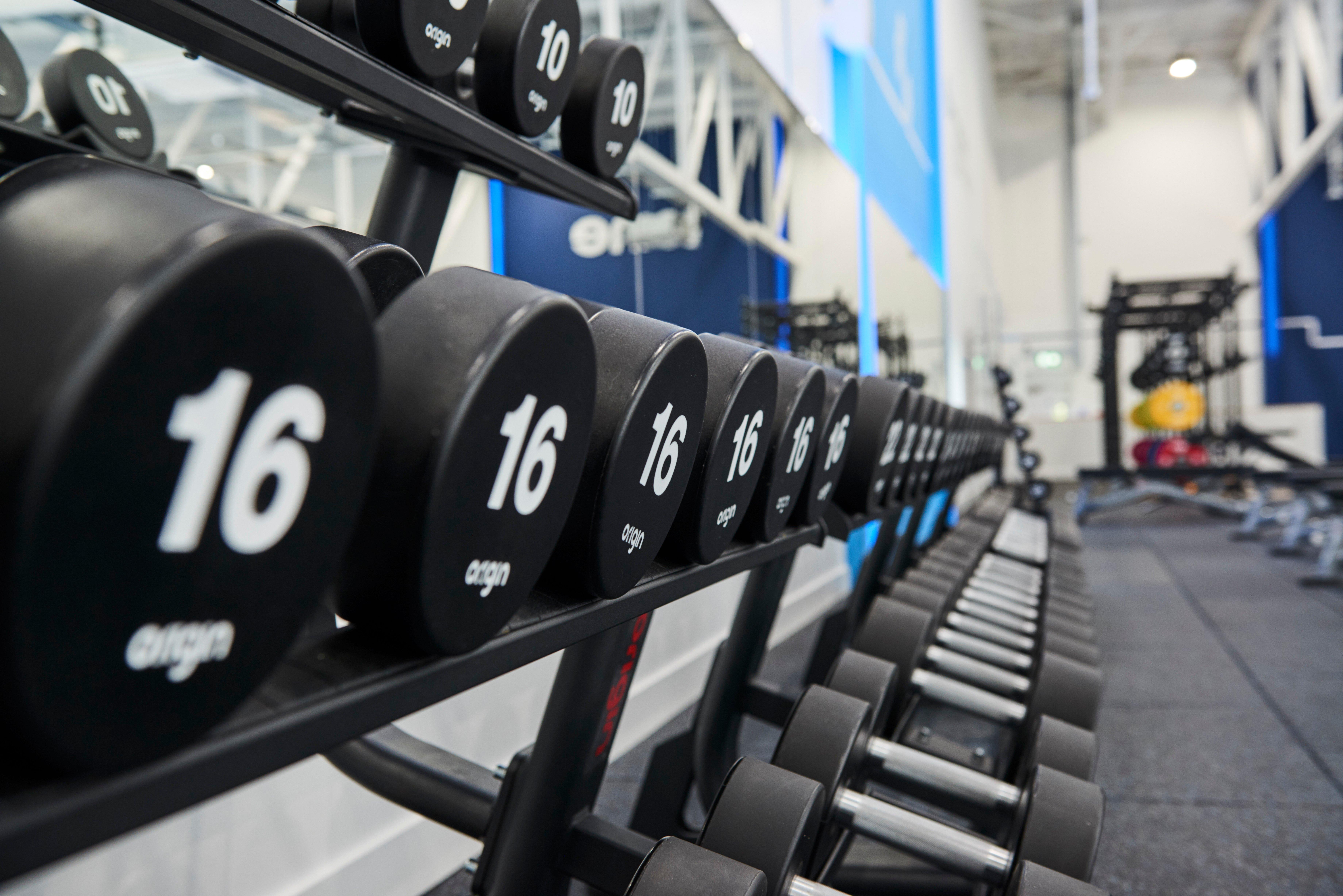 Tricep Exercises using Dumbbells