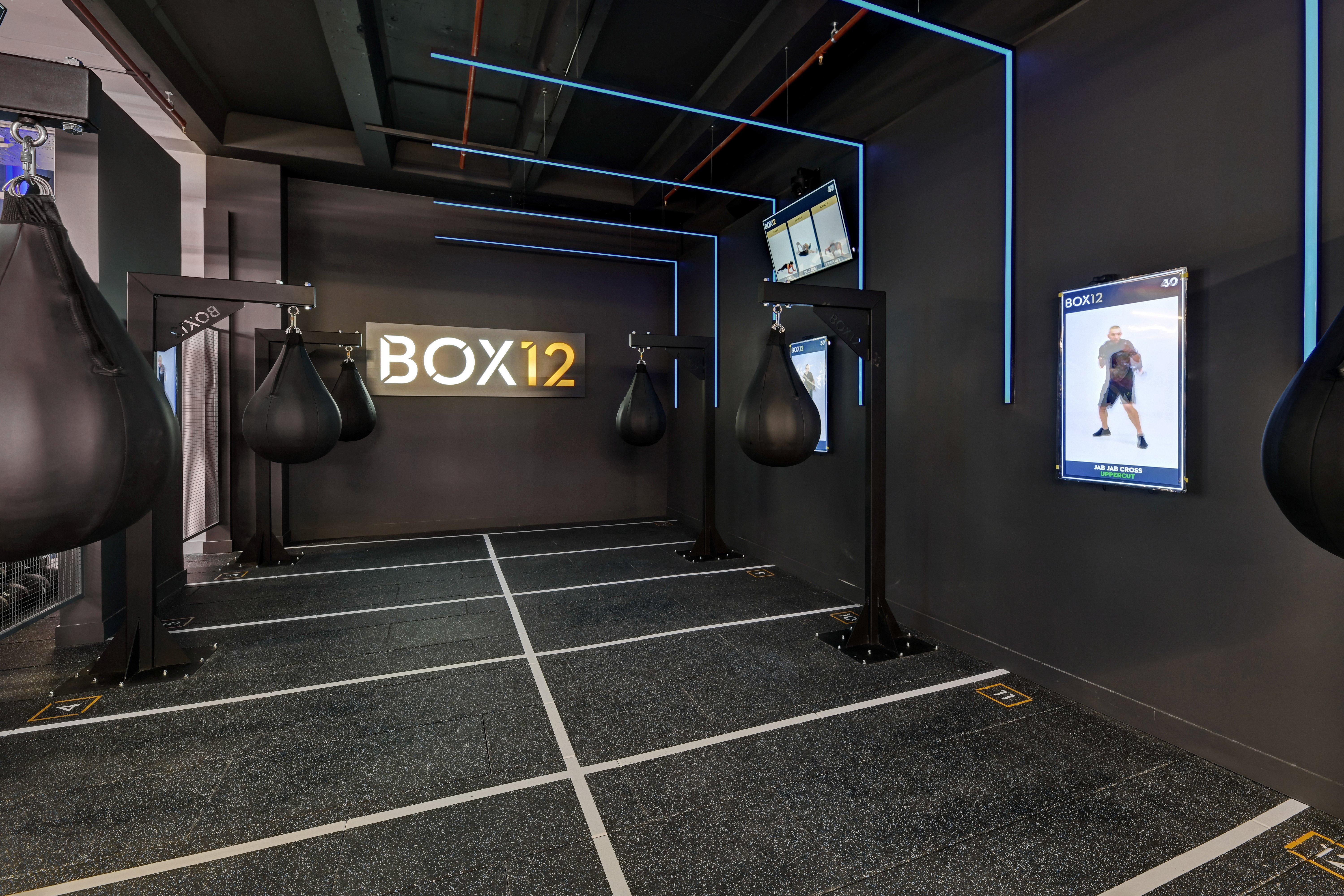 Box12 Area