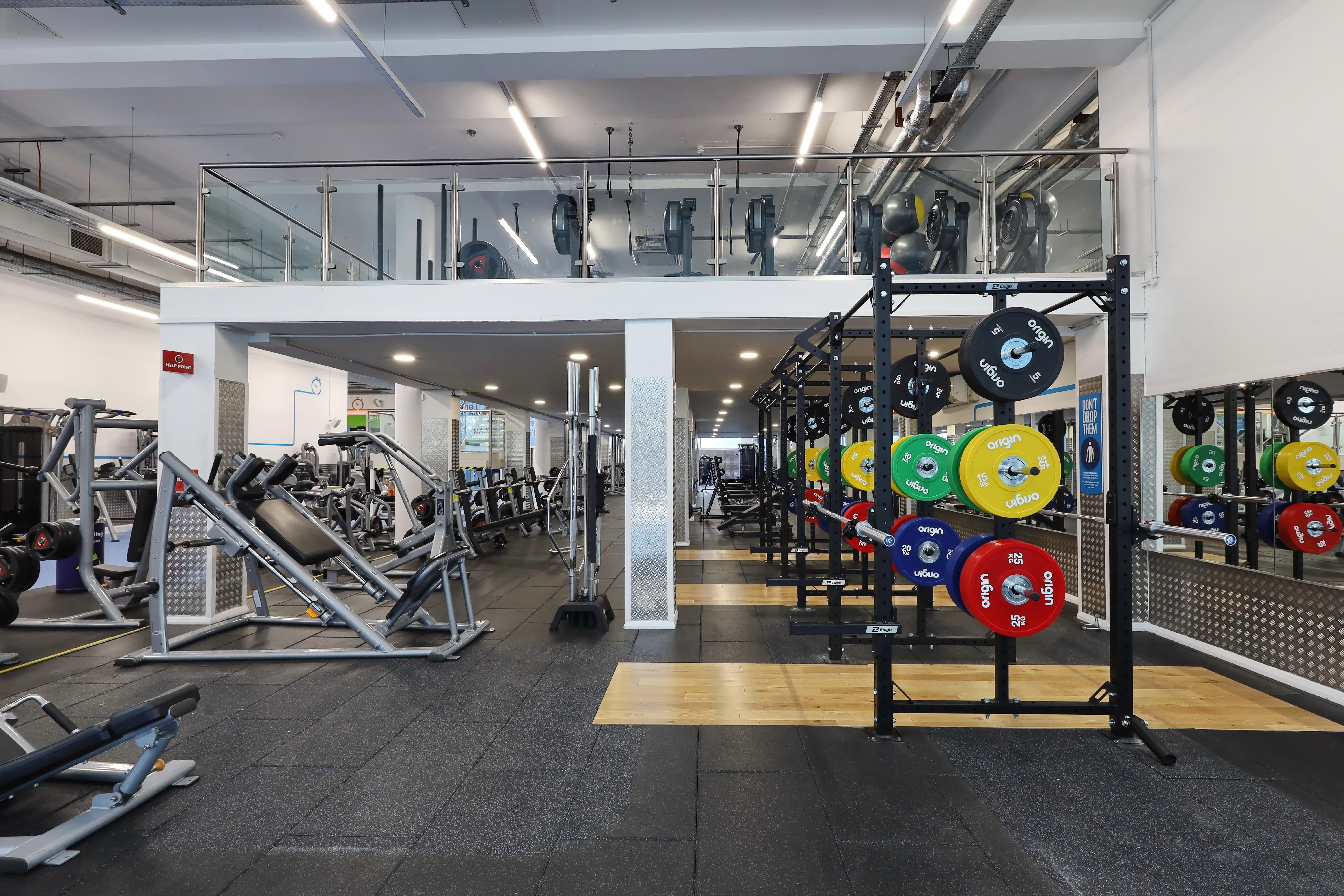 Free Weight Area