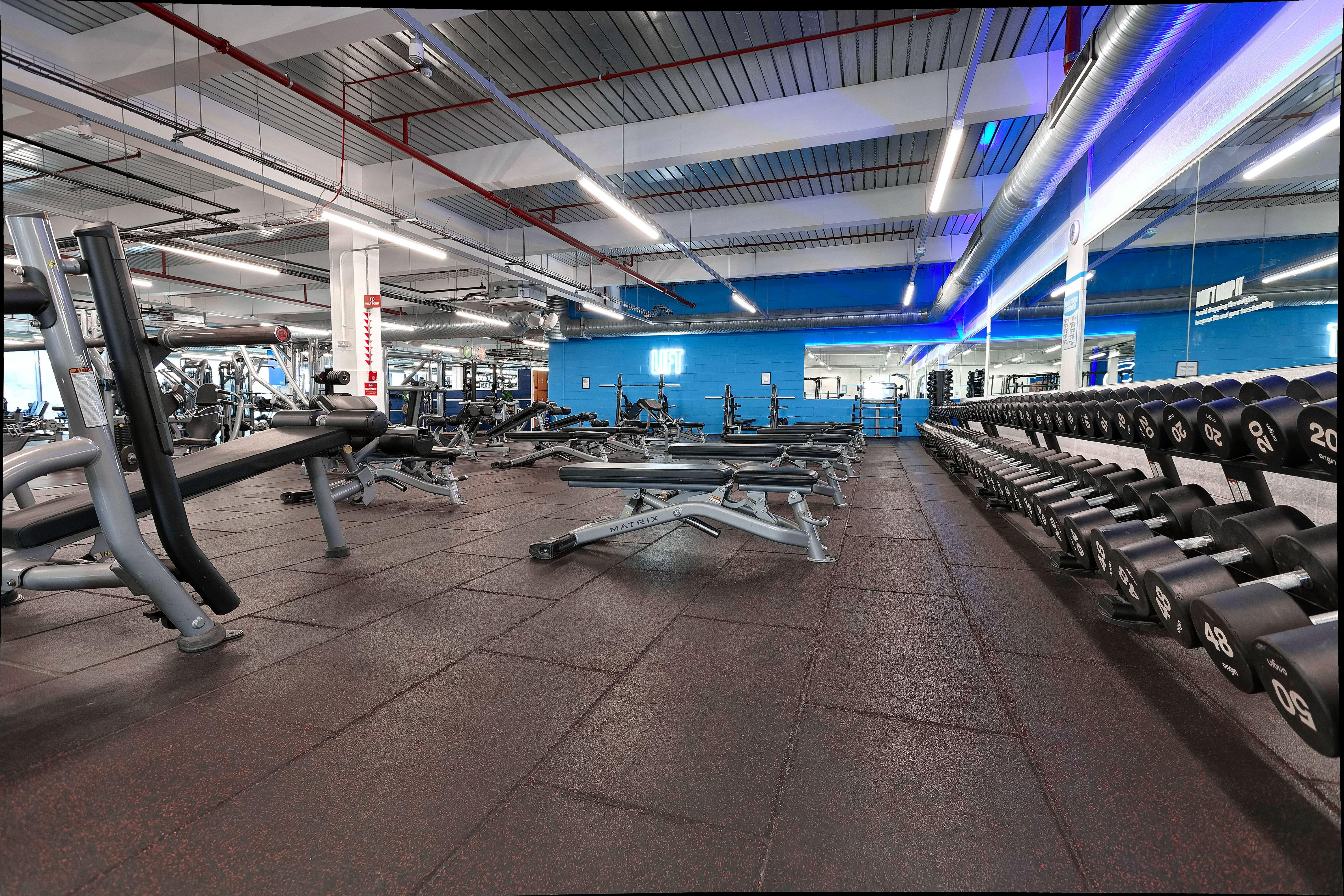Free Weights Area