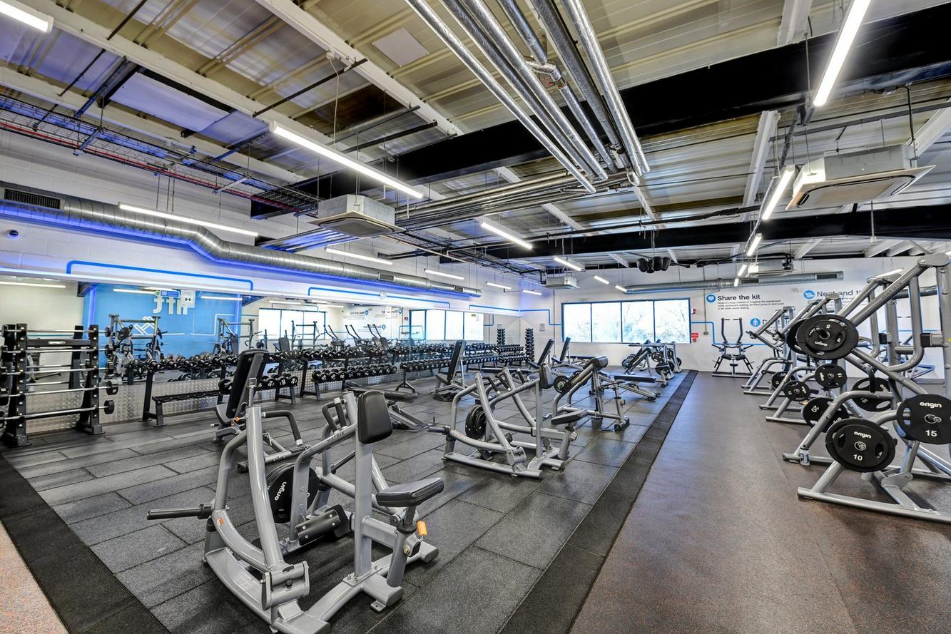 Free Weights Area